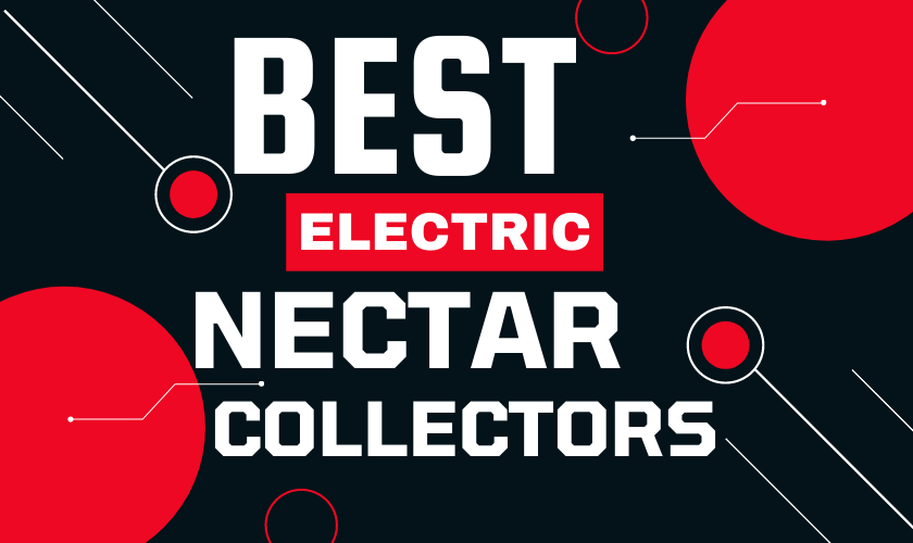 Best Electric Nectar Collectors