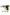 Smyle Labs Penjamin Raygun Battery for Cart Gold