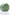 SLX - 2 inch Non-Stick Grinder - V2 Green