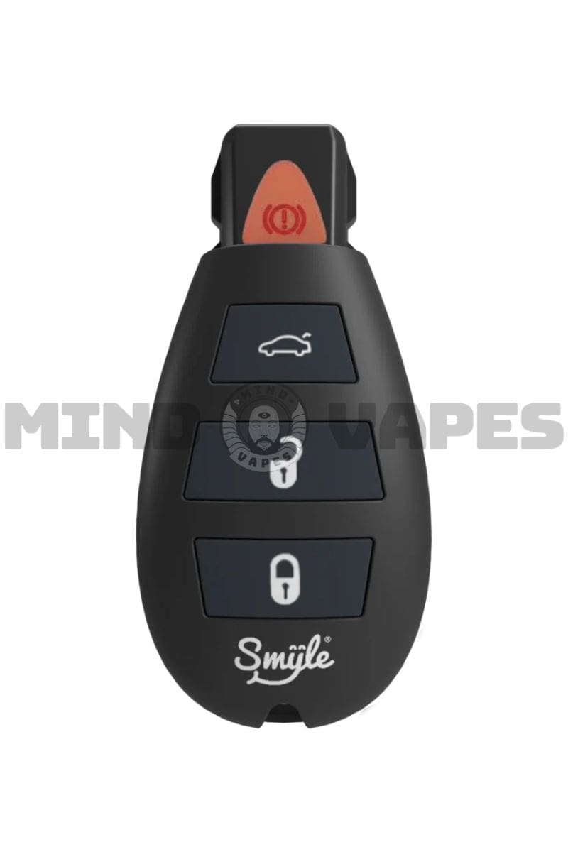 Smyle Labs Car Key Penjamin Cart Battery Black