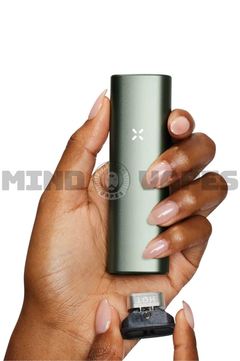 PAX PLUS Concentrate+Dry Herb Vaporizer